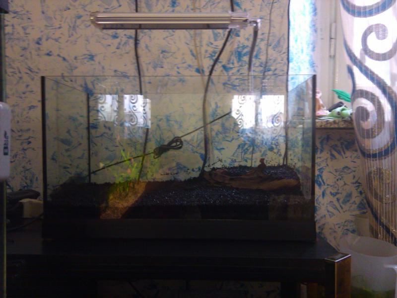 2011 05 02 19.32.26