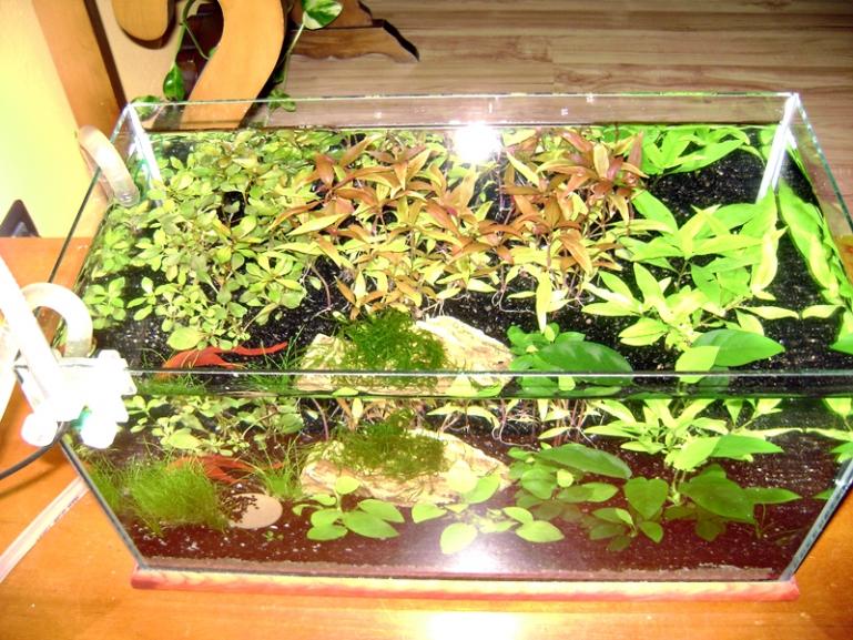 acquario3