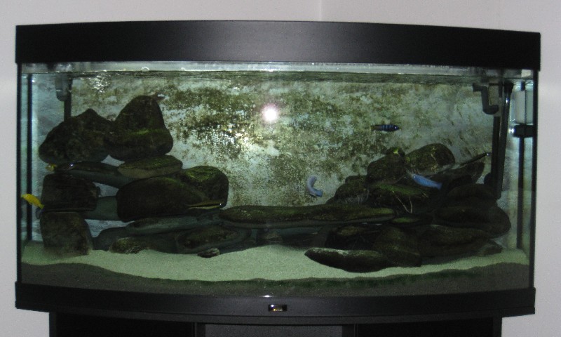 vasca
