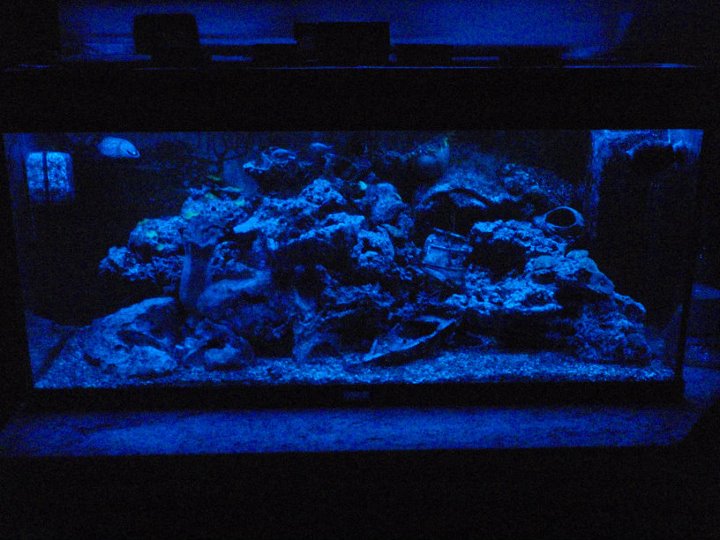 vasca sotto un illuminazione a led doppio cip blu