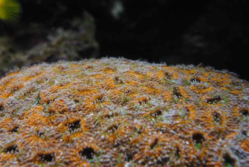DSC 0331