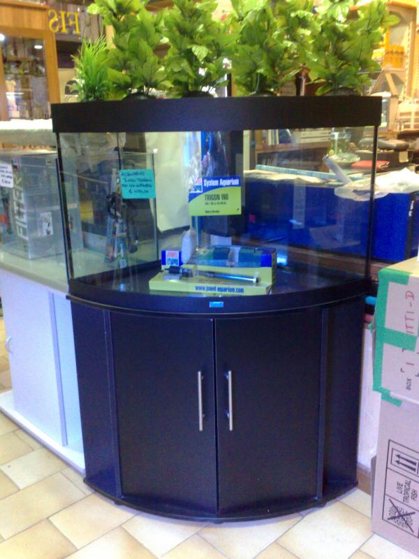acquarioangolo