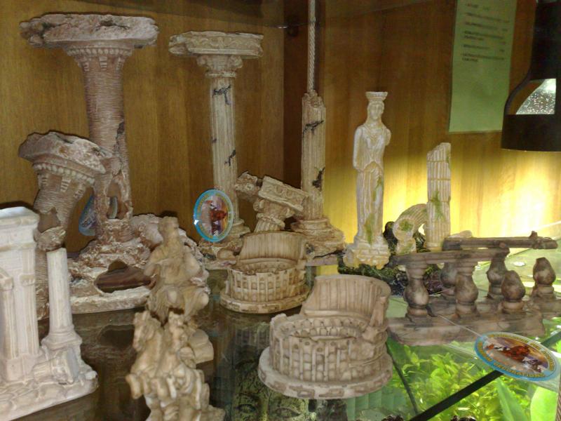 roma1