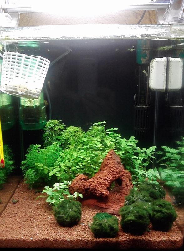 nuovo allestimento