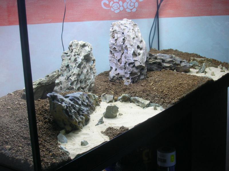 06 allestimento con DRAGONSTON