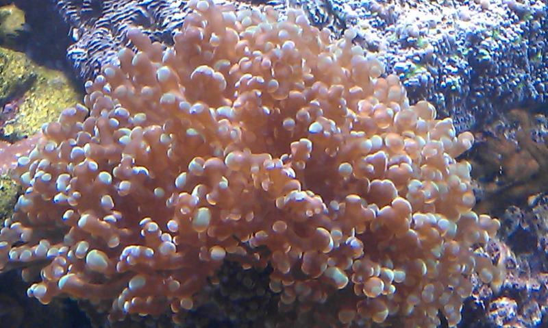 IMAG0441