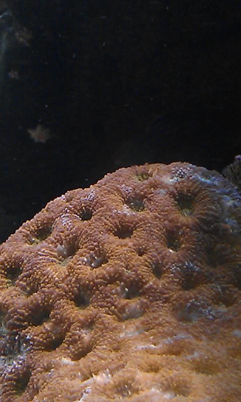 IMAG0447