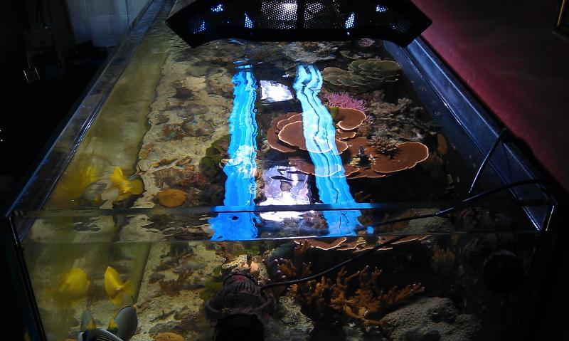 IMAG0557