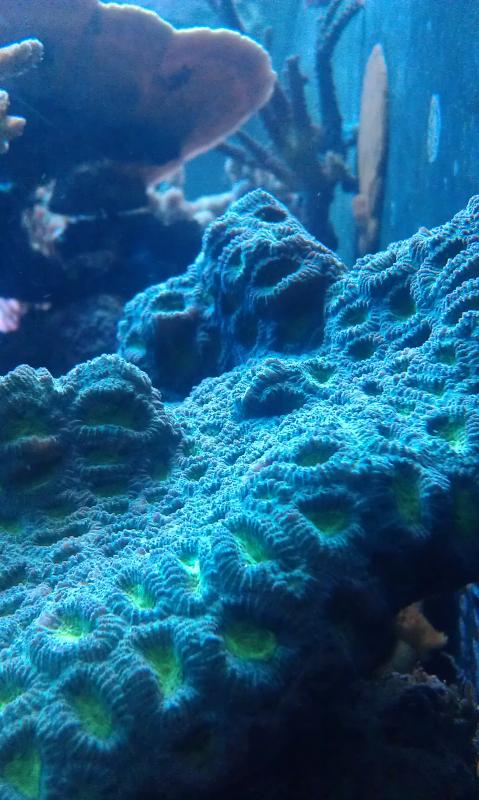 IMAG0607