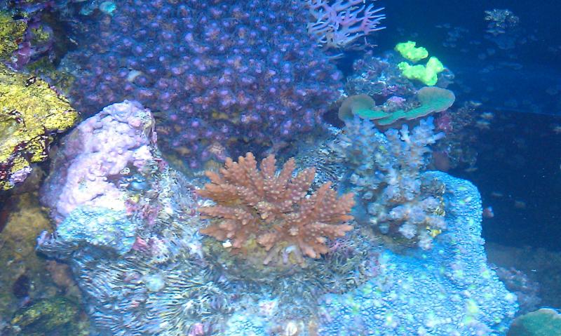 IMAG0611