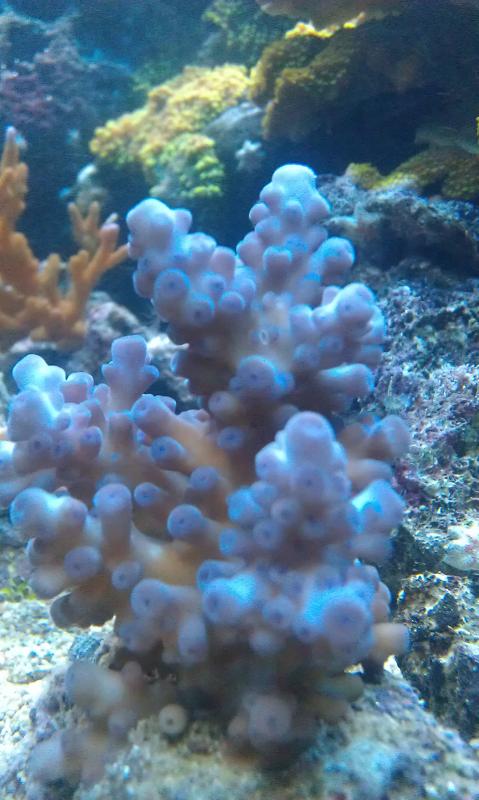IMAG0595