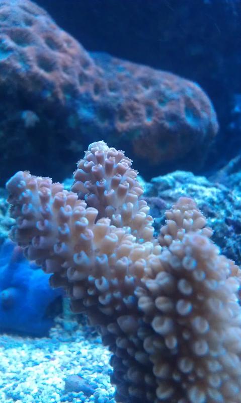 IMAG0594