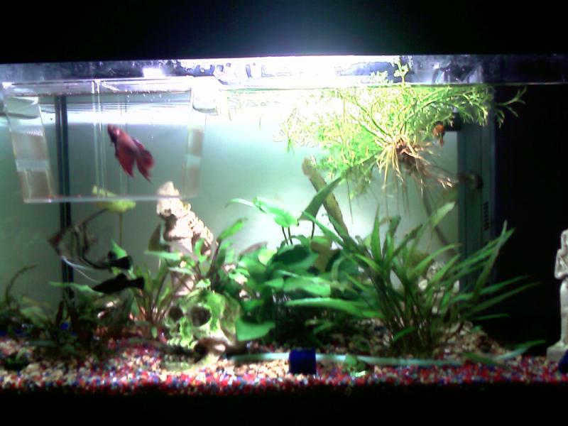 betta&Co.