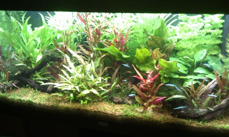 IMAG0069