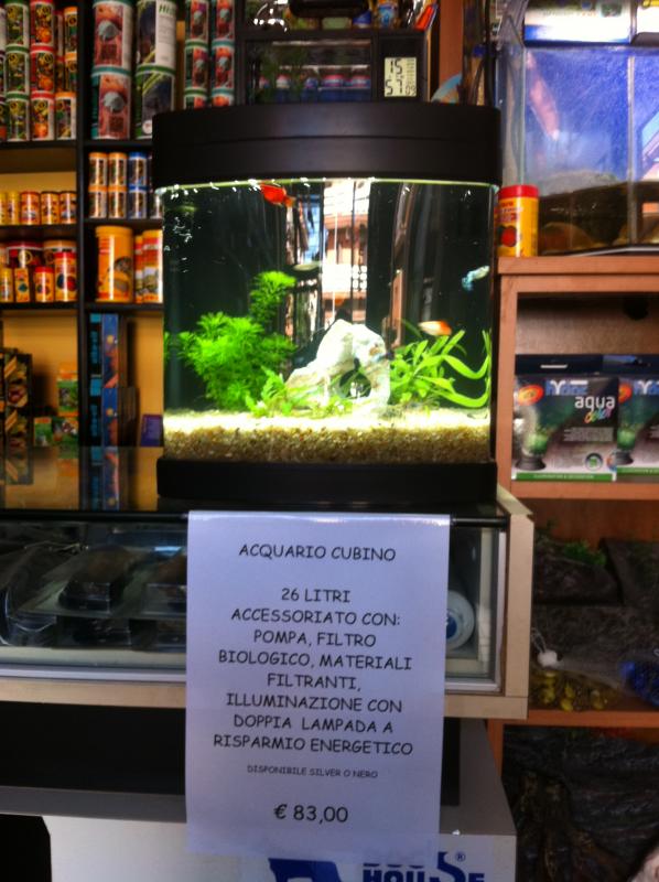 offerta acquario cubino