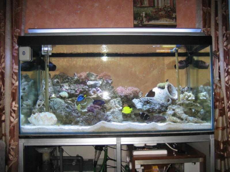 02 Travaso da acquario vecchio 10 07 2010