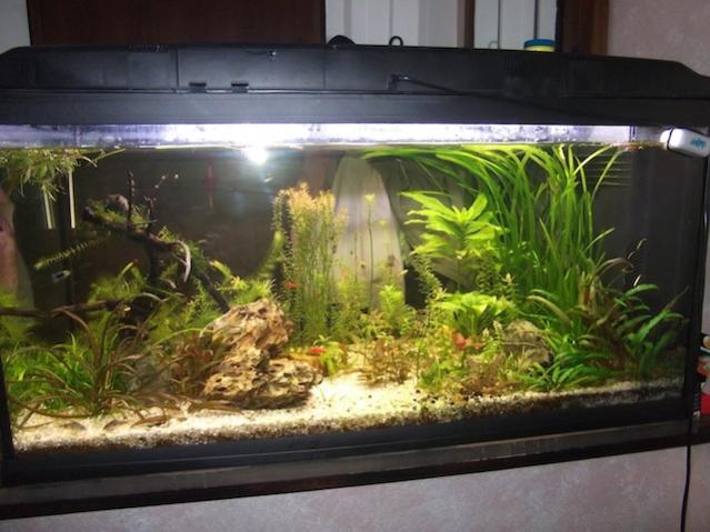 DSCF1226