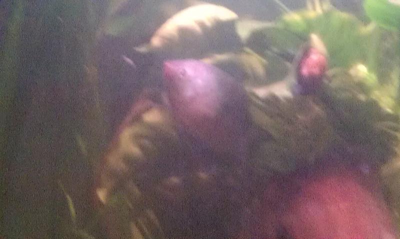 IMAG0683
