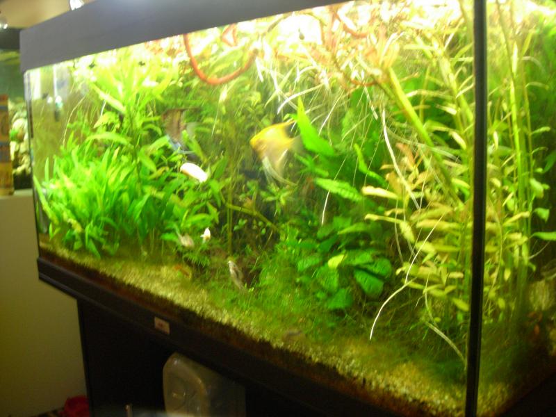 DSCN1104
