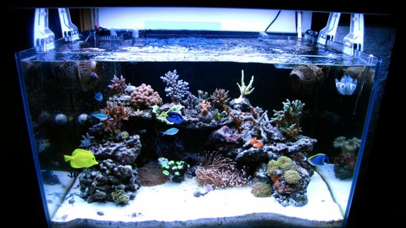 panoramica 11/12/11