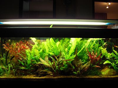 Panoramica ravvicinata