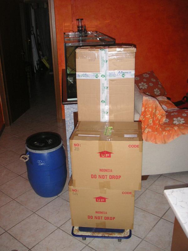 Primo acquisto: 40 kg rocce vive a scatola chiusa e plafoniera