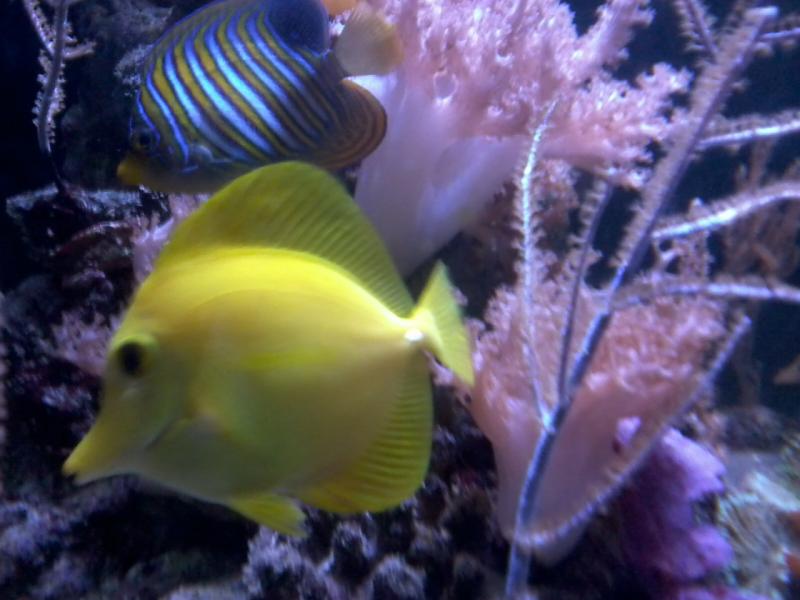 che bella coppia :-D