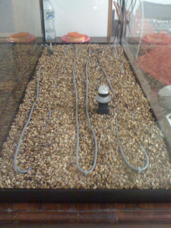 Fondo Vivo Fertilizzato PRODAC
(argilla)