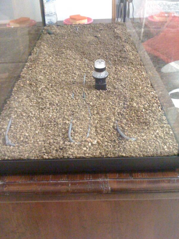 Fertil Plant PRODAC
(fertilizzante)