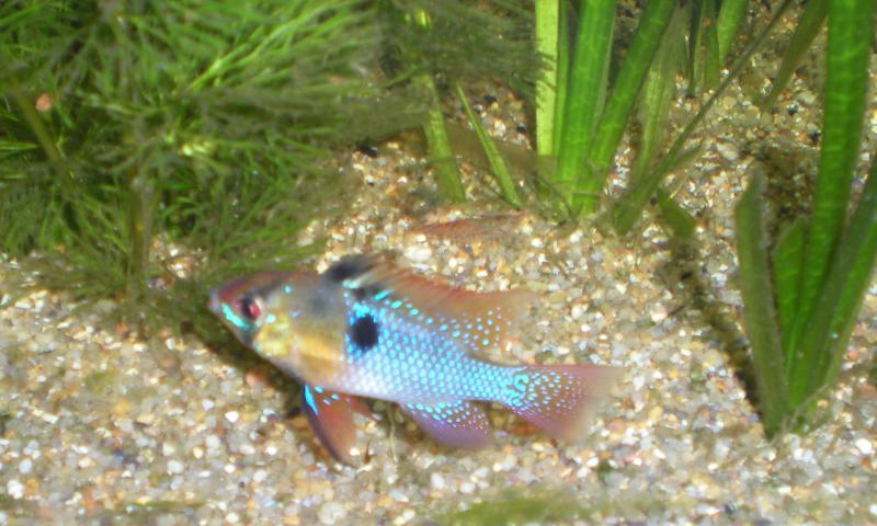 DSCN2809
