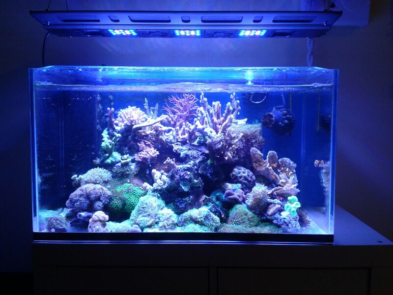 IMG 20130319 WA0000