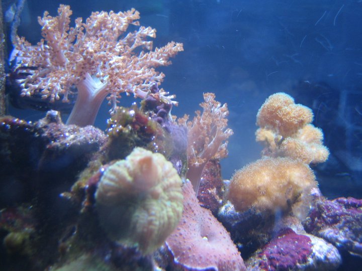 165752 497653768491 679493491 6286575 5203087 n