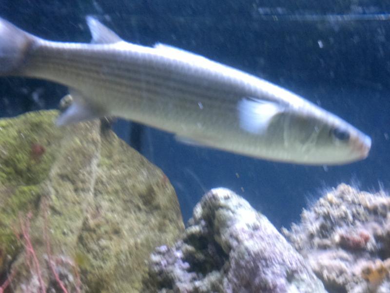 2012 04 07 357