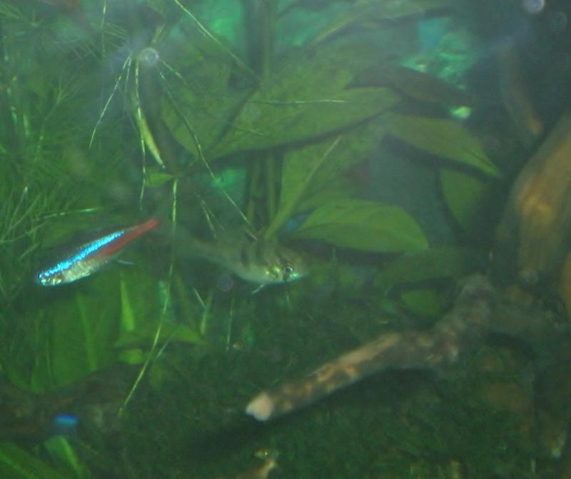 DSCN2991