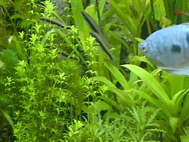 IMG 20120509 00478