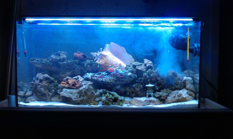 IMAG0104