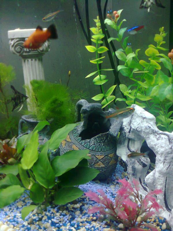 Foto0056