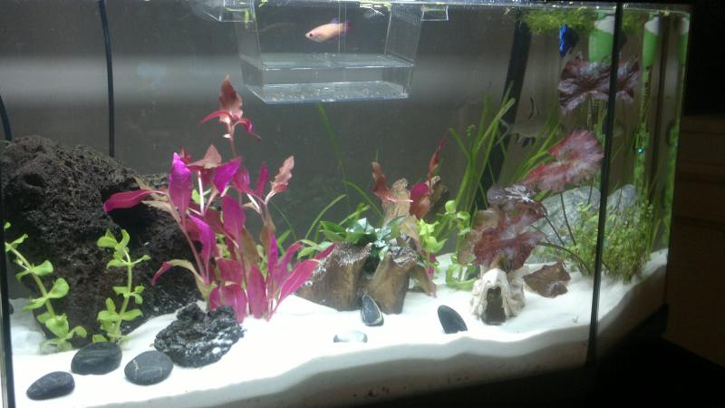 2012 03 15 025