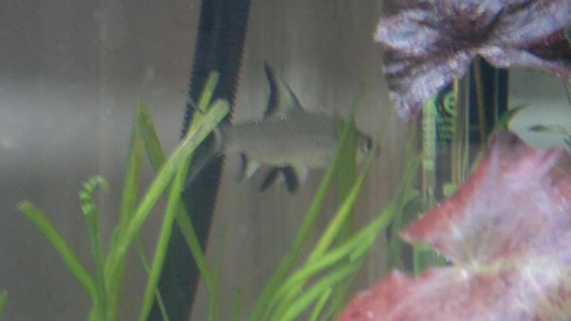 2012 03 15 028