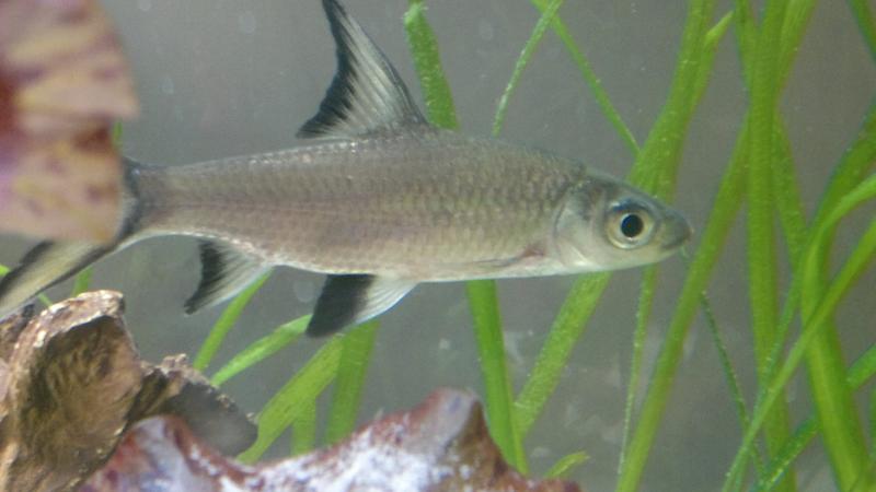 2012 03 15 030