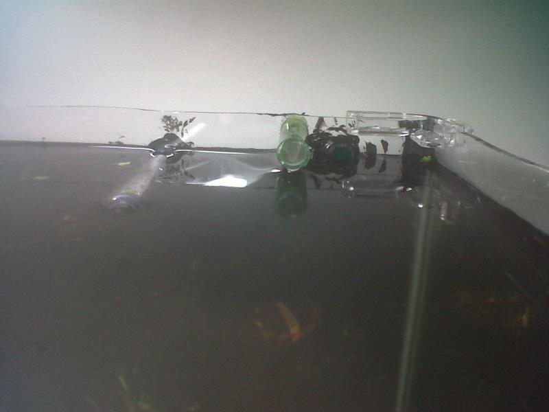 IMG00674 20120326 1332