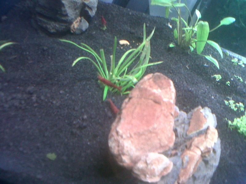 IMG00676 20120326 1333