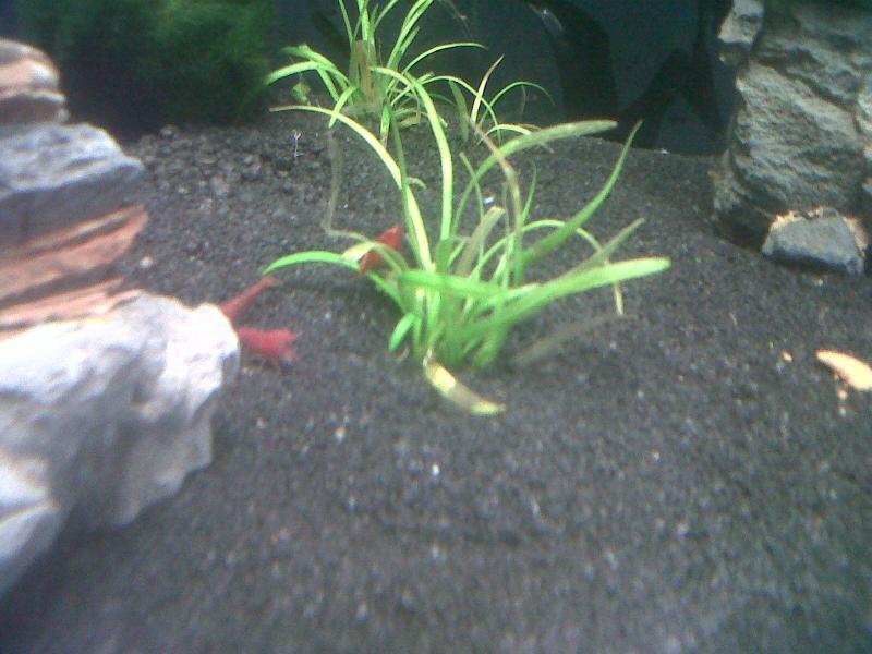 IMG00677 20120326 1333