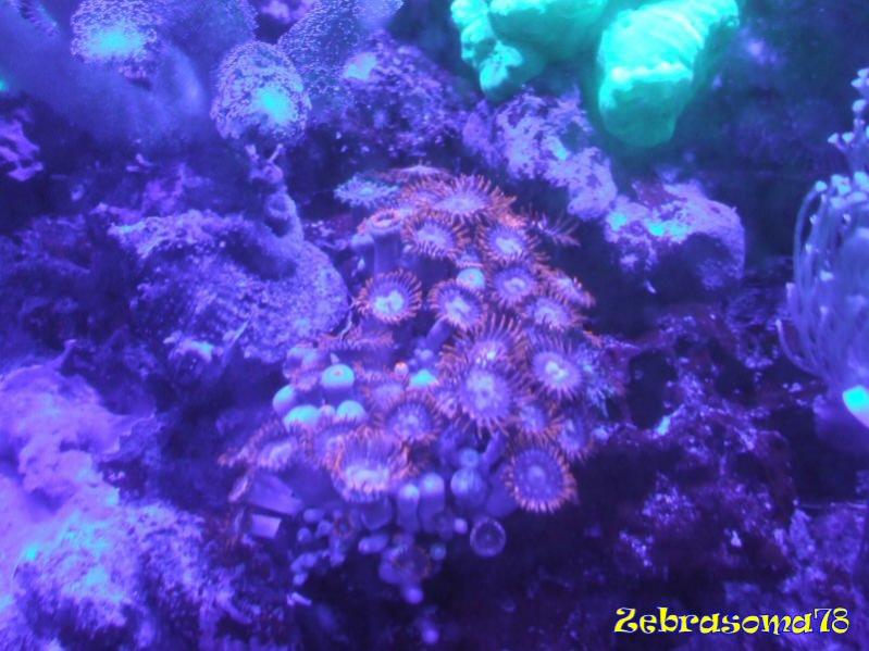 DSCF5910