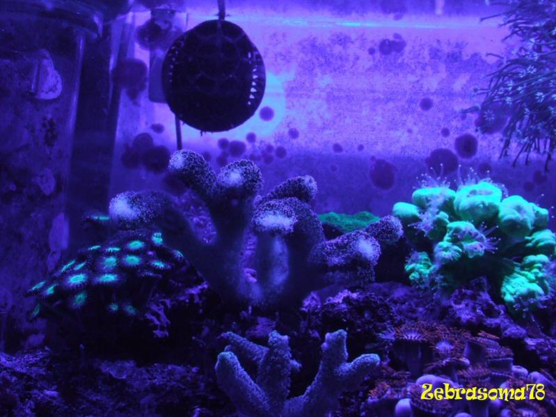 DSCF6001