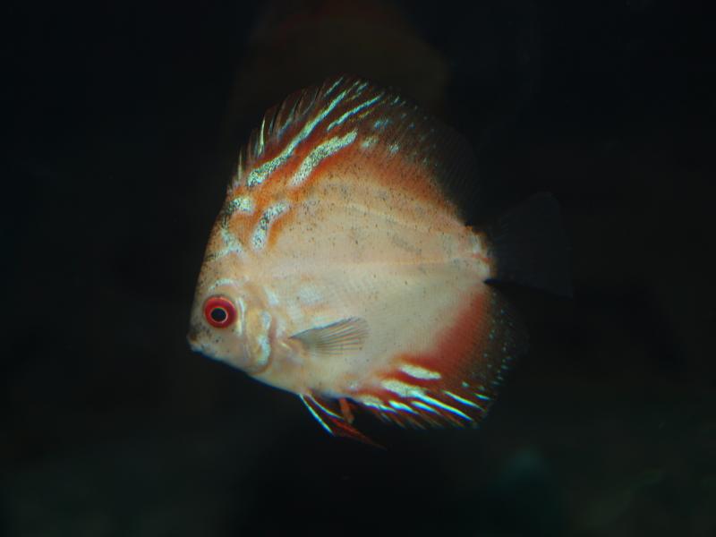 P1013055