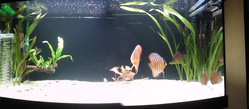 pano 000004