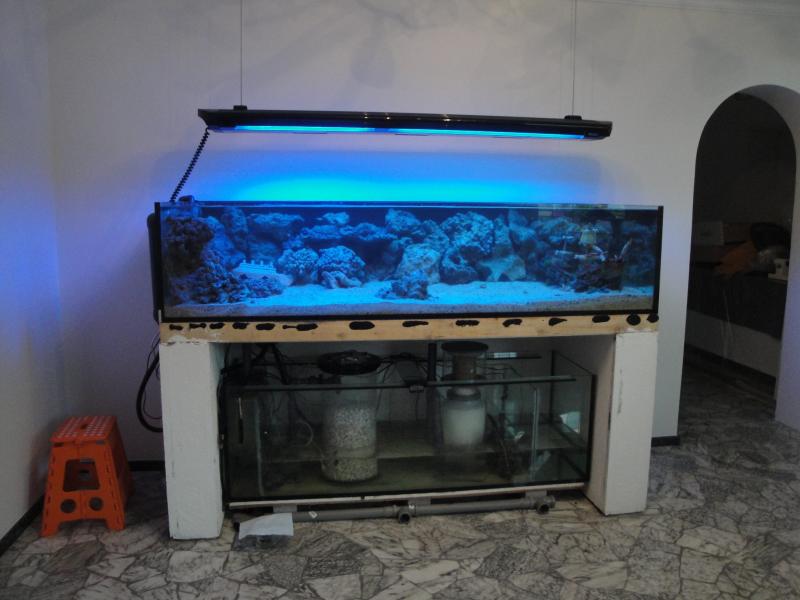 DSC03191