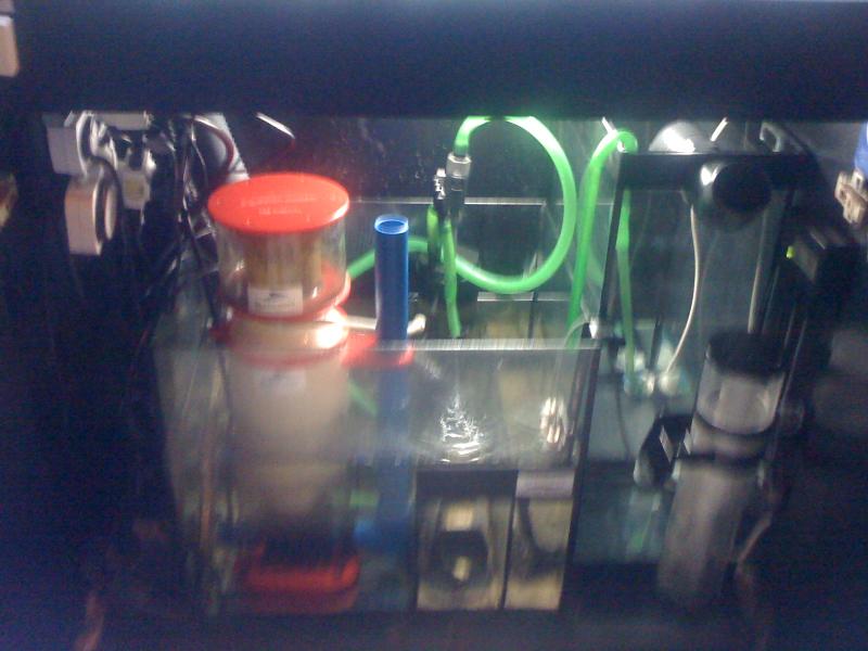 IMG 1297[1]
