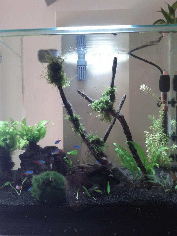 FLUVAL